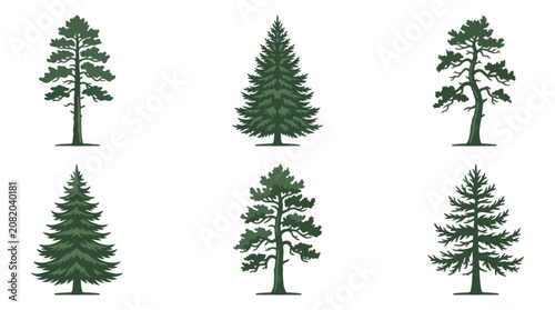 Collection of evergreen trees