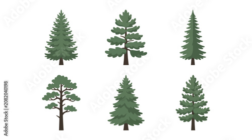 Collection of evergreen trees