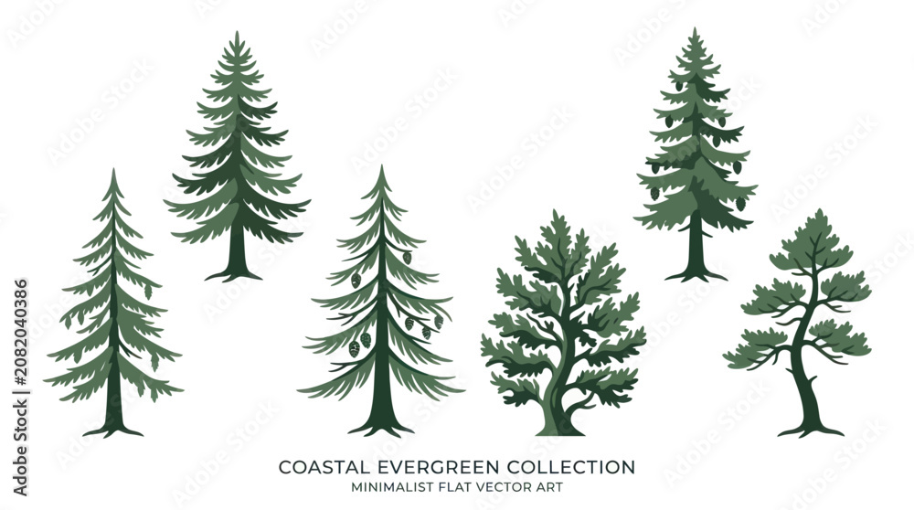 Obraz premium Collection of evergreen trees
