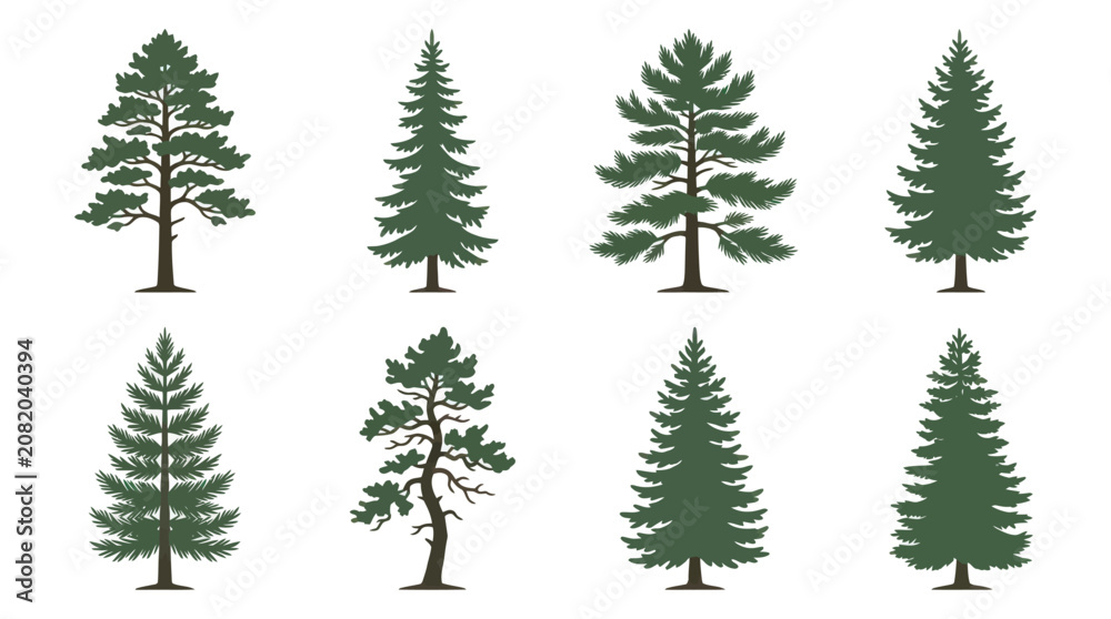 Obraz premium Collection of evergreen trees