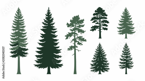 Collection of evergreen trees