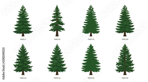 Collection of evergreen trees