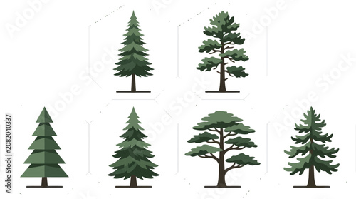 Collection of evergreen trees