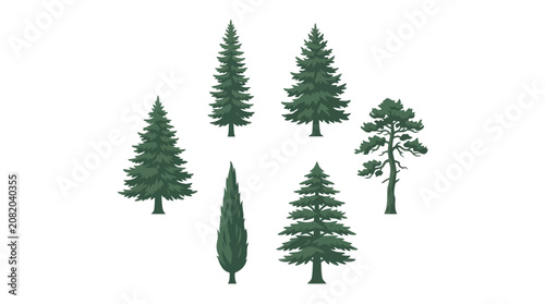 Collection of evergreen trees