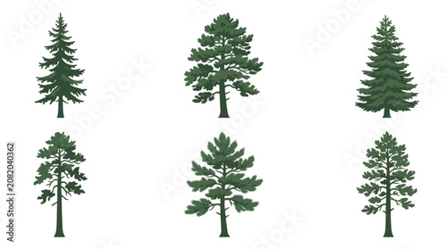 Collection of evergreen trees