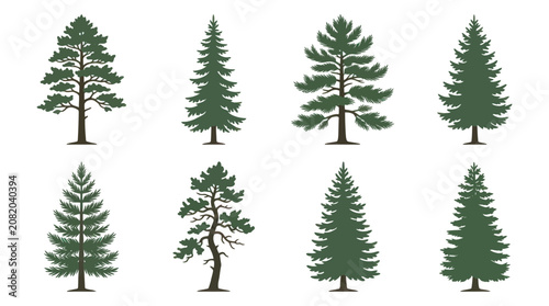 Collection of evergreen trees