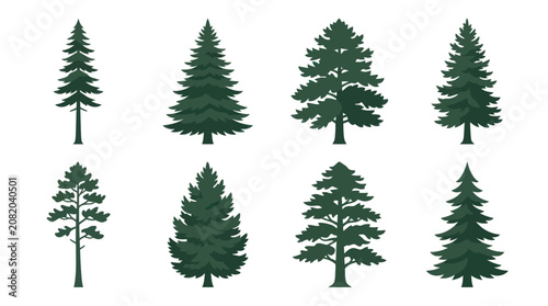 Collection of evergreen trees
