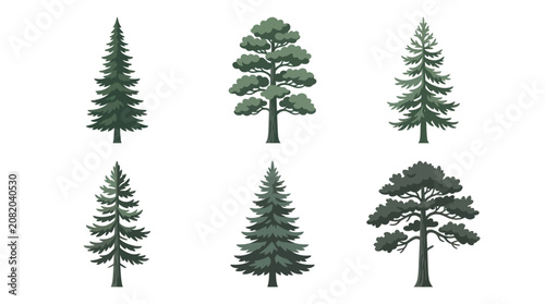 Collection of evergreen trees