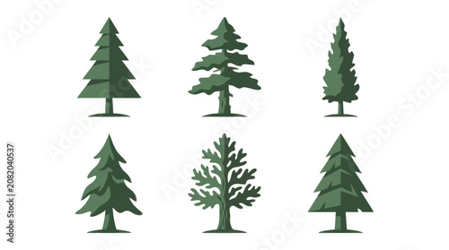 Collection of evergreen trees