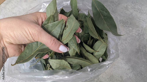 Hand holding dried bay leaves in clear plastic bag on table  