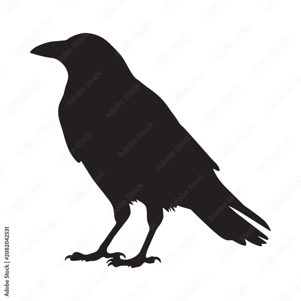 Fototapeta premium Raven silhouette against a white background simple avian form