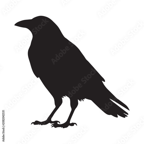 Raven silhouette against a white background simple avian form