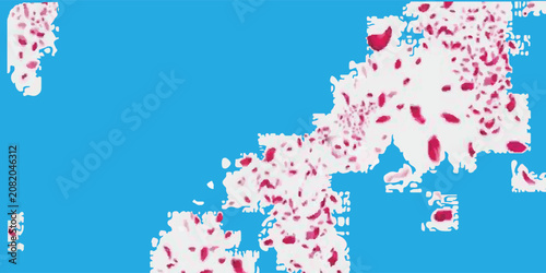 Abstract Floral Petals Floating on Blue Water With White Island Shapes