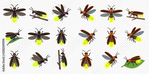 Bild auf Leinwand Set of fireflies in various poses, glowing yellow, isolated on a transparent background, vector illustration