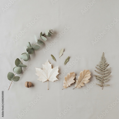 Minimalist Autumn Leaf Flat Lay with Dried Foliage on Beige Background.