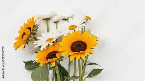 Vibrant Sunflowers and White Daisies Bouquet Composition on Clean White Background, Top View Flat Lay