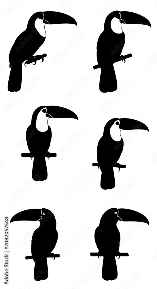 Fototapeta premium Toucan bird silhouette collection, set of 6 tropical exotic birds on branches, black and white wildlife vector icons for logo design and nature branding