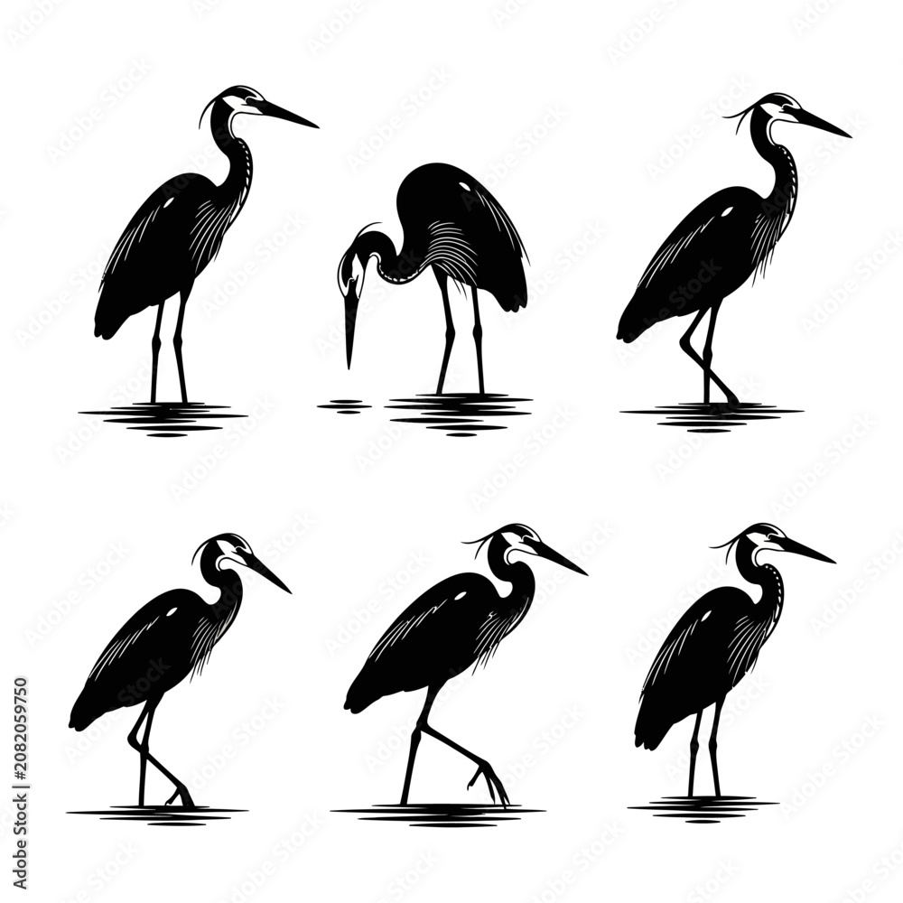Fototapeta premium Great blue heron silhouettes, set of 6 black bird vector icons, elegant wading birds in water, minimalist wildlife illustration for nature logos