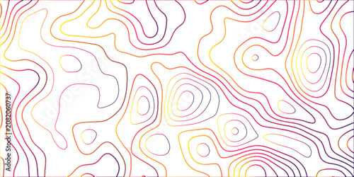 	
Topographic canyon geometric map relief texture with curved layers and shadow. abstract White background with a beautiful pattern, Topographic contour lines vector map seamless pattern vector
