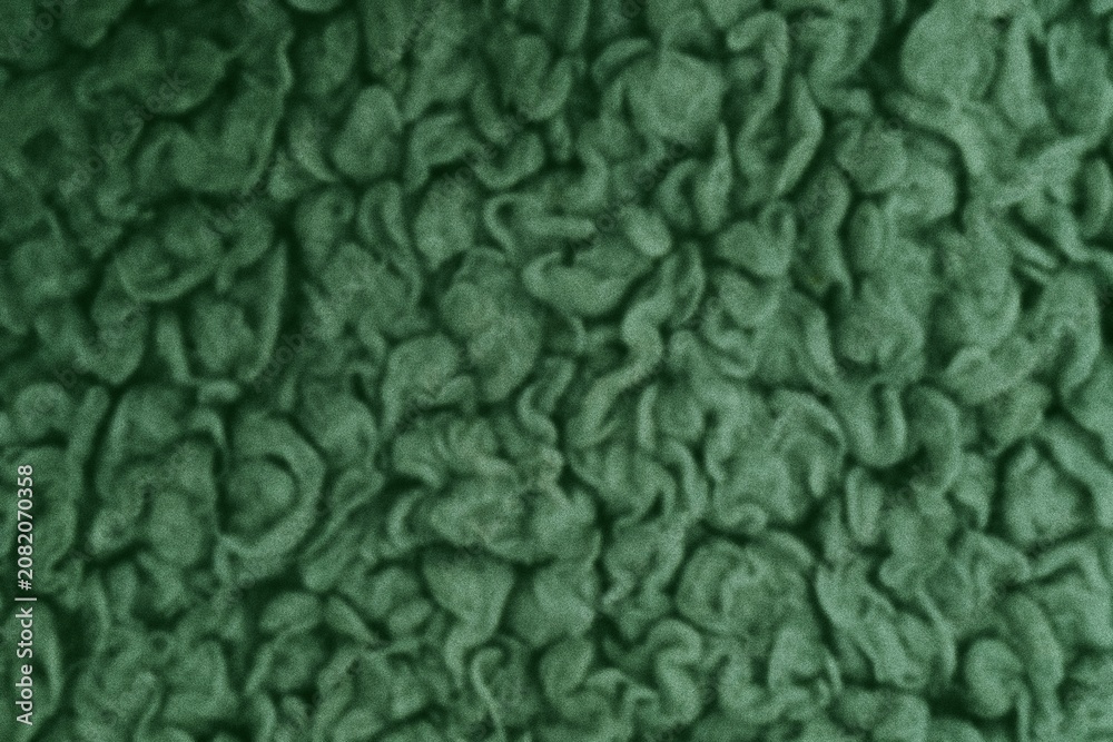 Obraz premium texture laineux arrière-plannfond vert noir motif abstrait design grain bruit rétro