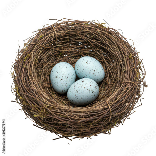 Woven bird nest with three speckled pale blue eggs resting on thin brown twigs against a white background, concept of new life and delicate nature