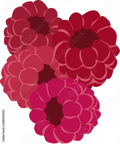 Raspberry sweet fruit 