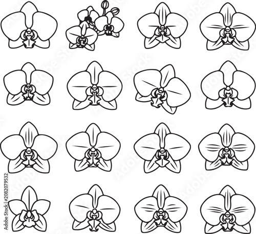 Set of black and white line art orchid flowers illustrations