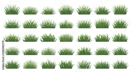 Large collection of diverse green grass tufts and bushes in various shapes and sizes for architectural and nature design.
