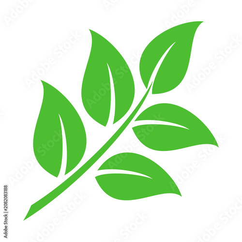 Leaf vector symbol, leaf illustration or leaf emoji in flat style. Spring leaf design, ecological nature theme.	
