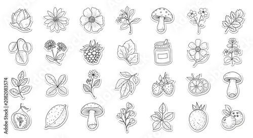 Sheet of black and white botanical stickers featuring various flowers leaves mushrooms and fruits in a delicate sketch style.