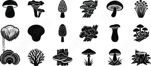 Foto Edible and wild mushrooms black silhouette vector icons set featuring porcini ch