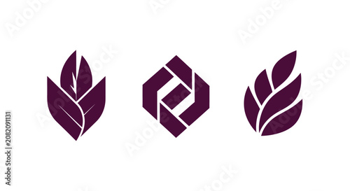 Elegant Maroon Leaf and Geometric Design Icons.