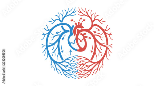 Tableau sur toile Human Heart Circulatory System Diagram with Arteries and Veins