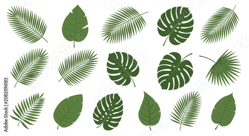 Comprehensive collection of various tropical leaf silhouettes and outlines including palm and monstera leaves for botanical design work.