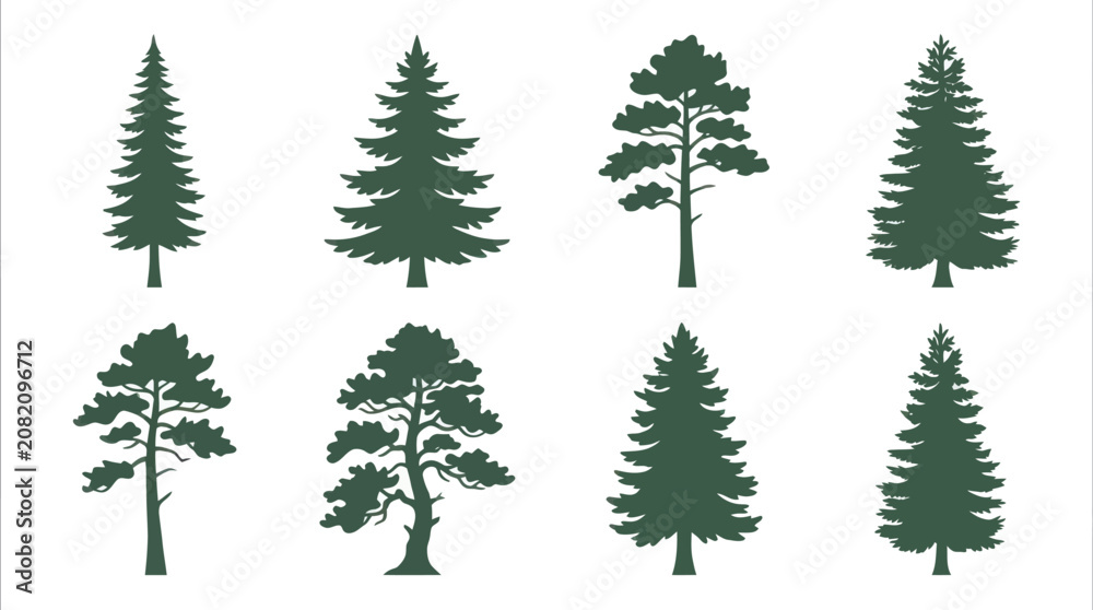 Obraz premium Collection of evergreen tree silhouettes