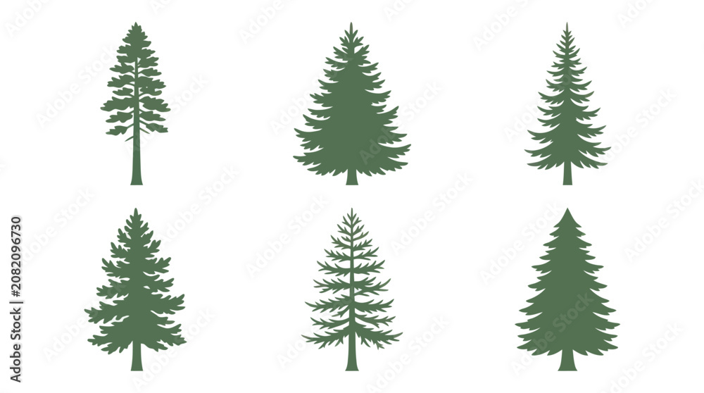 Obraz premium Collection of evergreen tree silhouettes