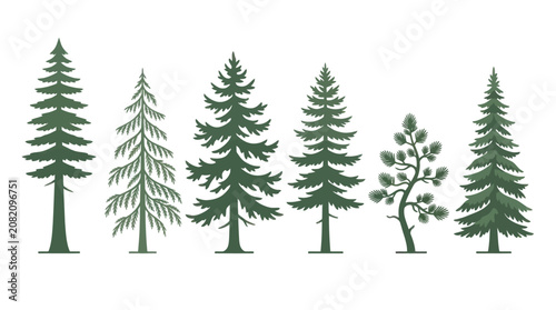 Foto Collection of evergreen tree silhouettes