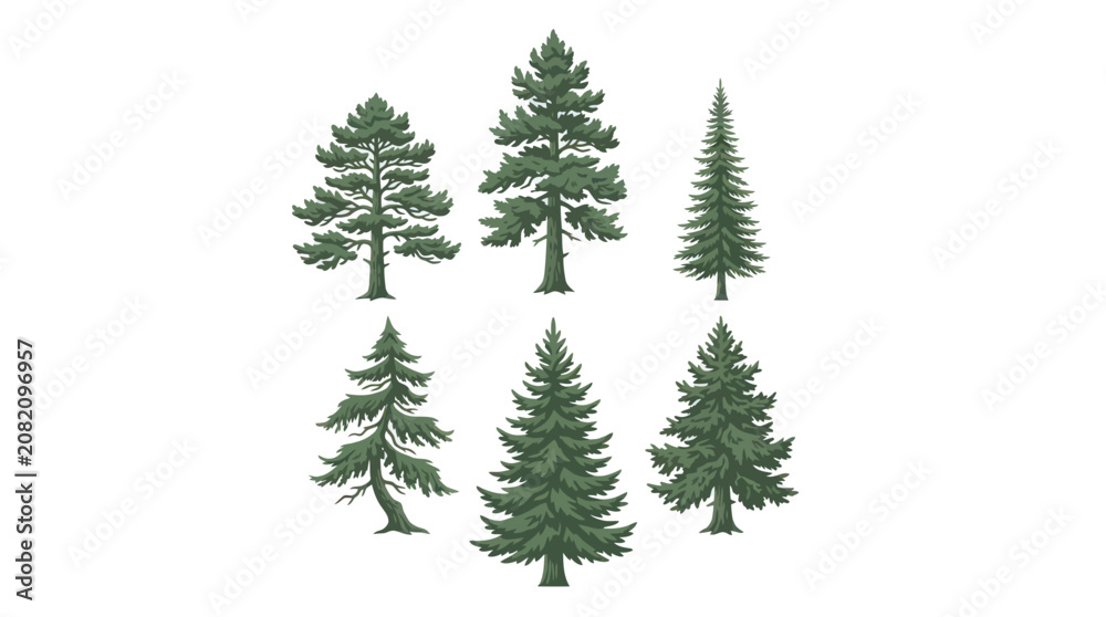 Obraz premium Collection of evergreen trees