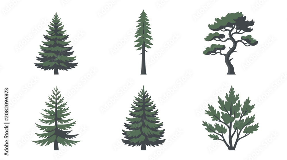 Fototapeta premium Collection of evergreen trees