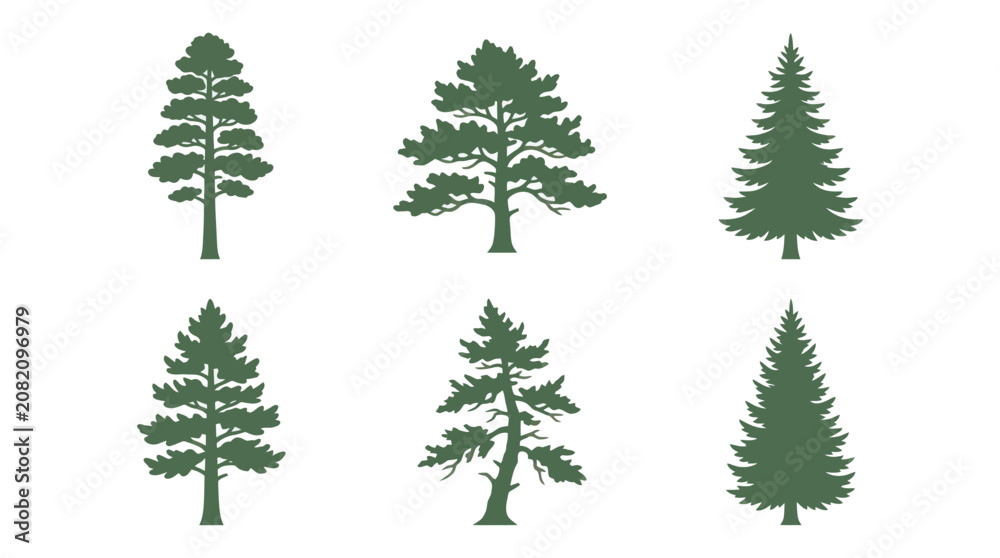 Obraz premium Green evergreen tree silhouettes set