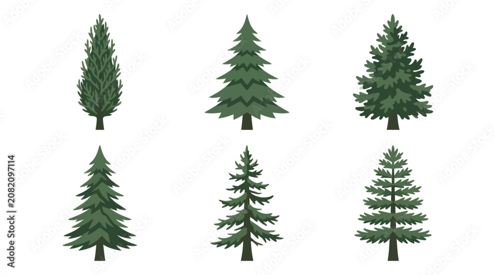Obraz premium Collection of green coniferous trees