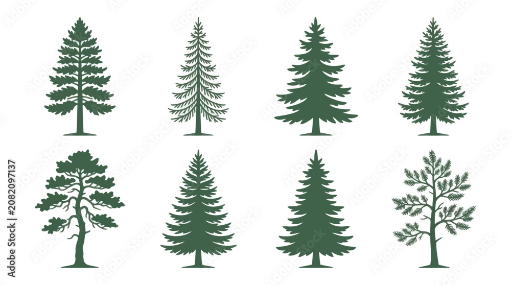 Obraz premium Green pine tree silhouette collection