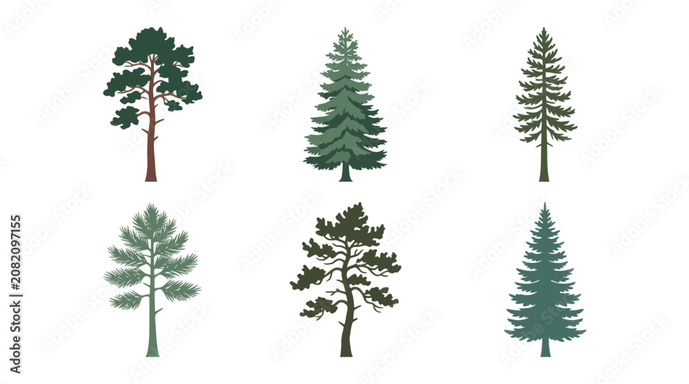 Obraz premium Collection of pine trees vector illustrations