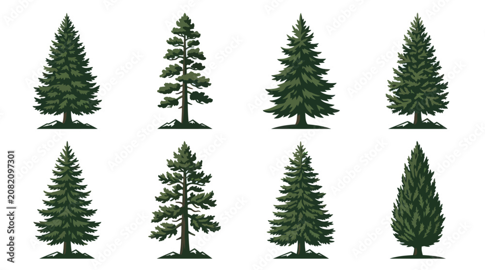 Obraz premium Conifer tree collection isolated vector illustration