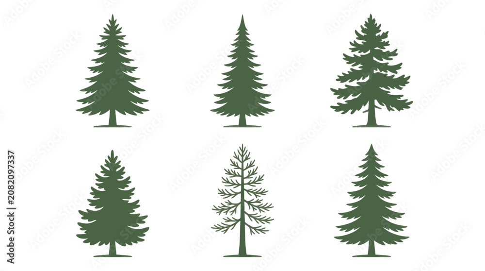 Obraz premium Group of evergreen tree silhouettes