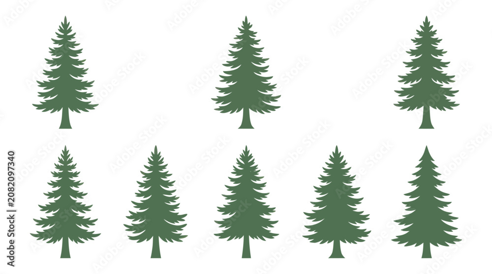 Obraz premium Group of evergreen trees
