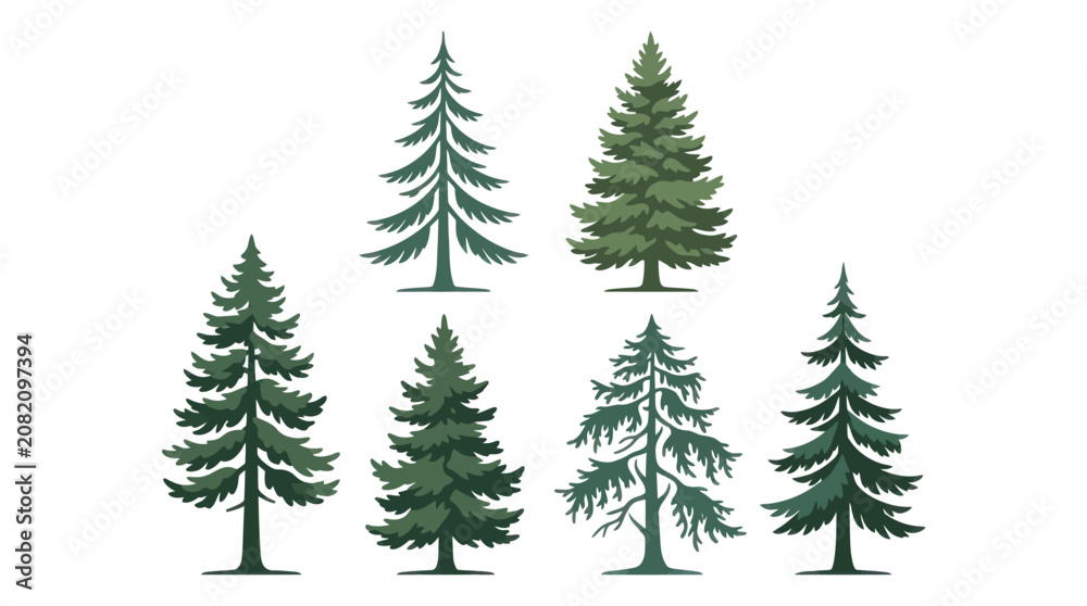 Obraz premium Group of evergreen trees collection
