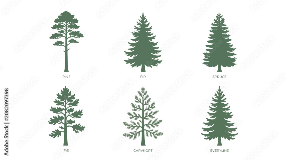 Obraz premium Coniferous tree silhouettes collection
