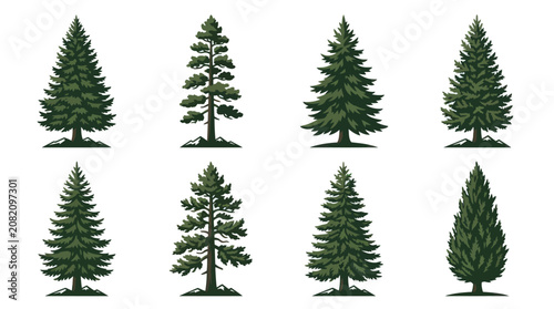 Conifer tree collection isolated vector illustration