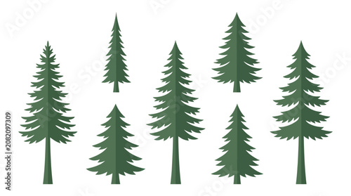 Conifer tree set isolated flat design